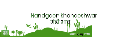 Mandi Image